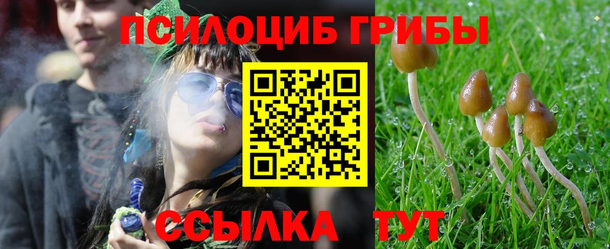 Галлюциногенные грибы Magic Shrooms  Вход с VPN  продажа наркотиков  Улан-Удэ 